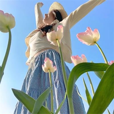 斯派克岛冒险之旅